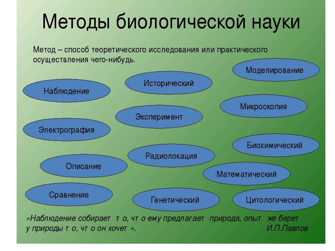 Наука изучающая многообразие. Биологические науки 5 класс биология. Семья биологических наук 5 класс таблица. Семья биологических наук 5 класс биология. Схема семья биологических наук.