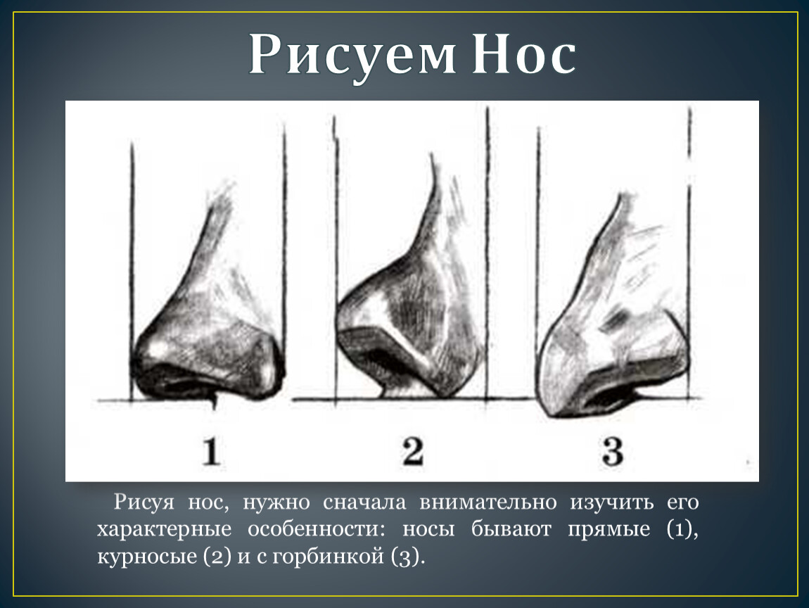 Как нарисовать нос с горбинкой