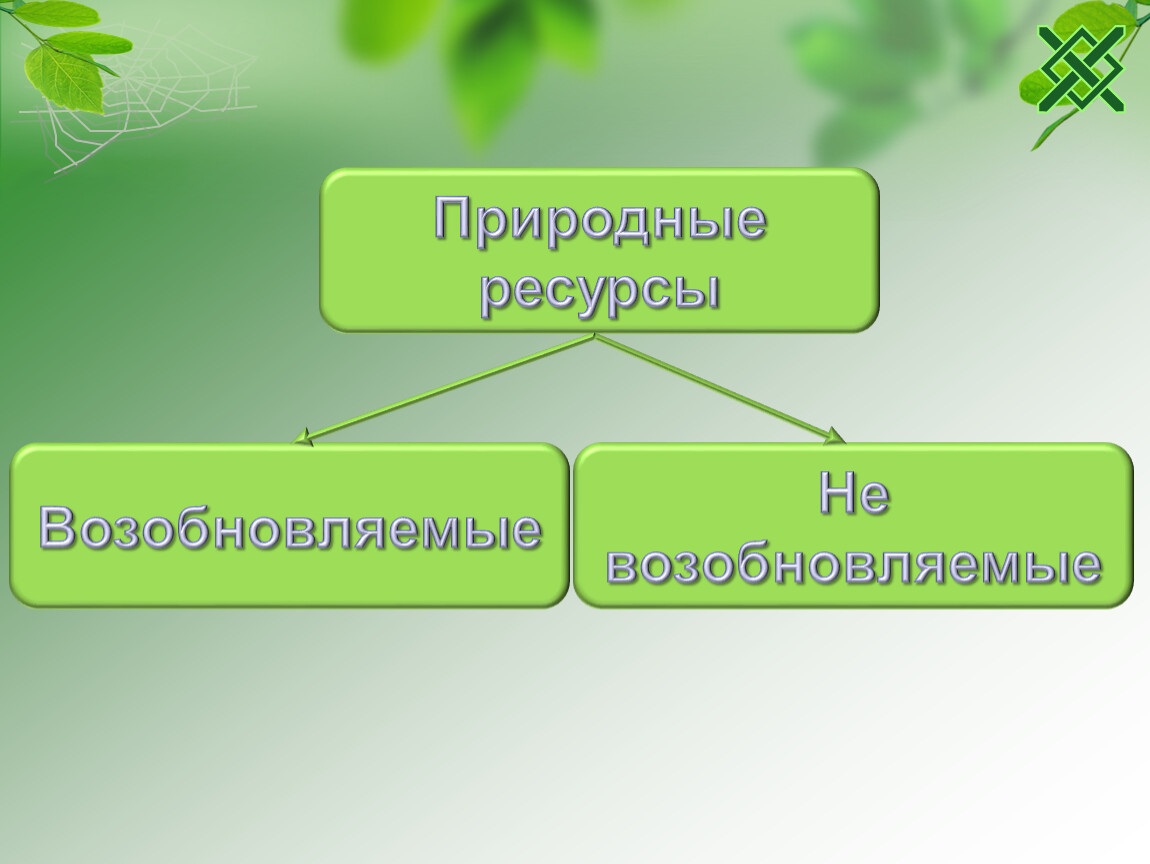 Мир прямой. Воздействие человека на животных. Прямое воздействие человека на животных. Прямое и косвенное влияние человека на животных. Воздействие человека на животный мир прямое и косвенное.