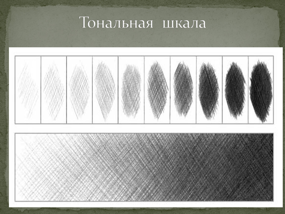 Тон в рисунке. Тональная штриховка. Тональная растяжка. Тренировка штриховки карандашом. Виды штриховки карандашом.