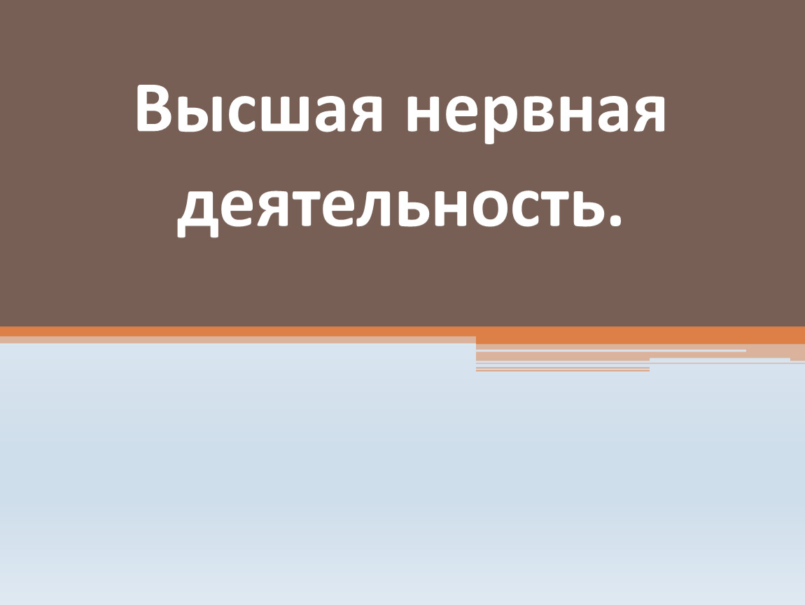 Высшая нервная деятельность человека презентация 9 класс