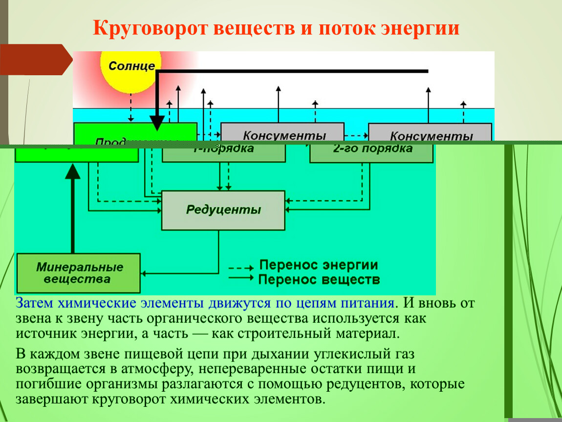 Схема передачи веществ и энергии