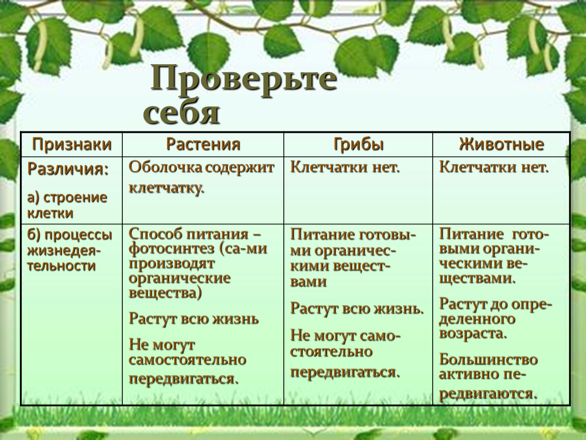 5 основных признаков растений. Признаки растений. Разлели признаки растений и животных. Раздели признаки растений. Признак разделения животных и растений.