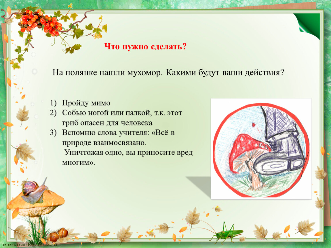 Доклад по окружающему миру 2 класс. Великан на Поляне 3 класс кому нужен мухомор.