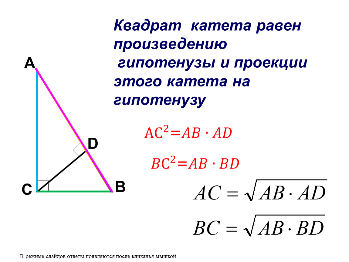 Катет равный произведению гипотенузы. Квадрат катета равен произведению гипотенузы. Катеты прямоугольного треугольника. Проекция катета на гипотенузу. Теорема катетов.