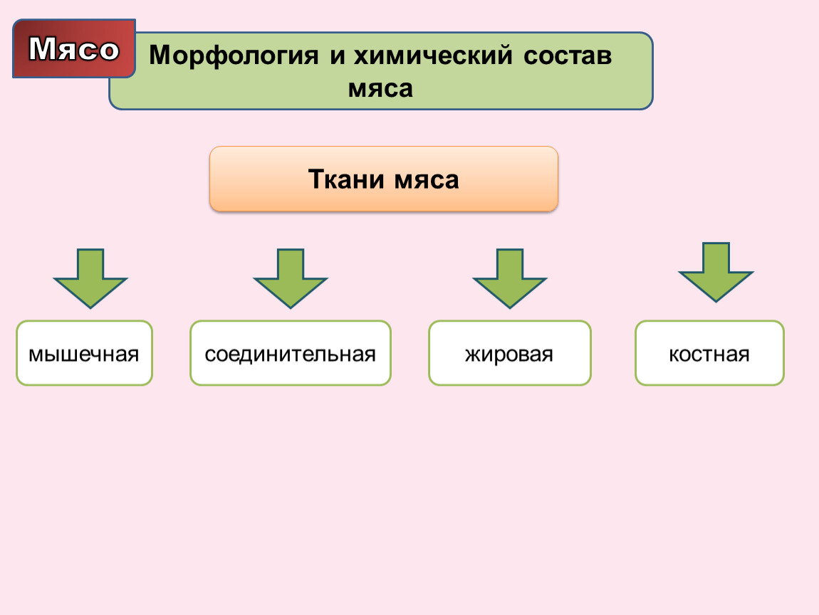 Ткани мяса. Перечислите основные ткани мяса. Основные виды тканей мяса.