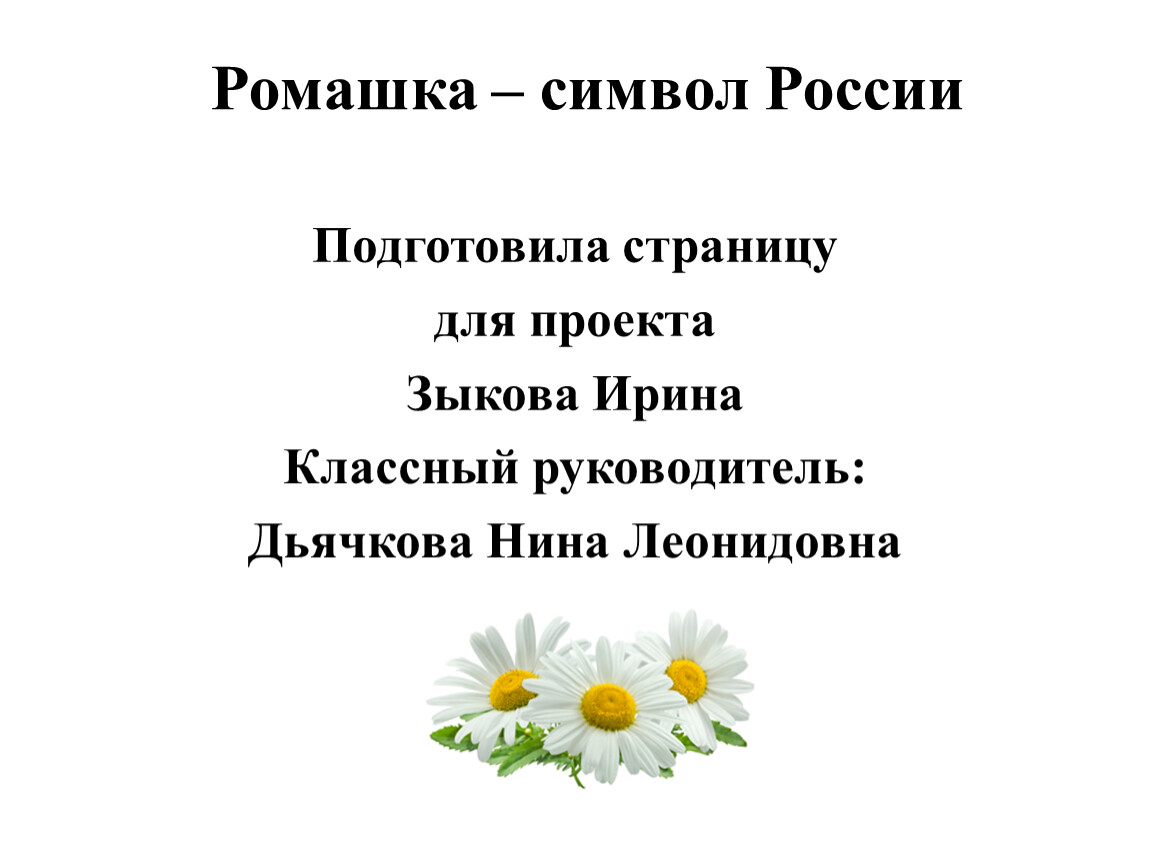 Символ ромашки непоседы. Цветок Ромашка символ чего.