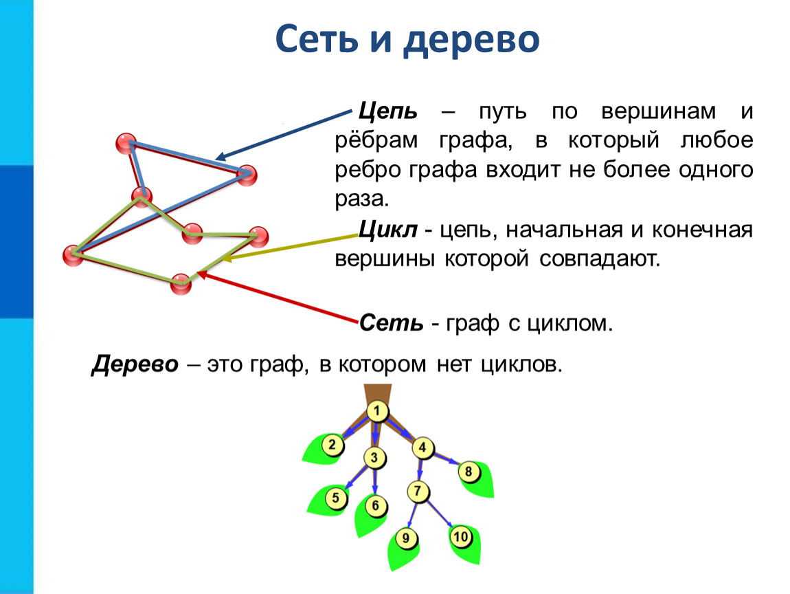 Путь через все вершины графа. Типы графов в информатике 9 класс. Ребра и вершины в графах. Дерево графа.