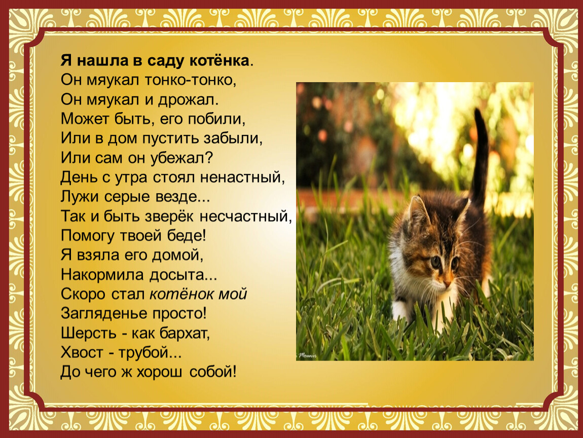 Главная мысль стихотворения котенок. Я нашла в саду котенка он мяукал тонко-тонко. Я нашла в саду котенка стих. Стишок я нашла в саду котёнка. Стихи про а нашла саду котенка.