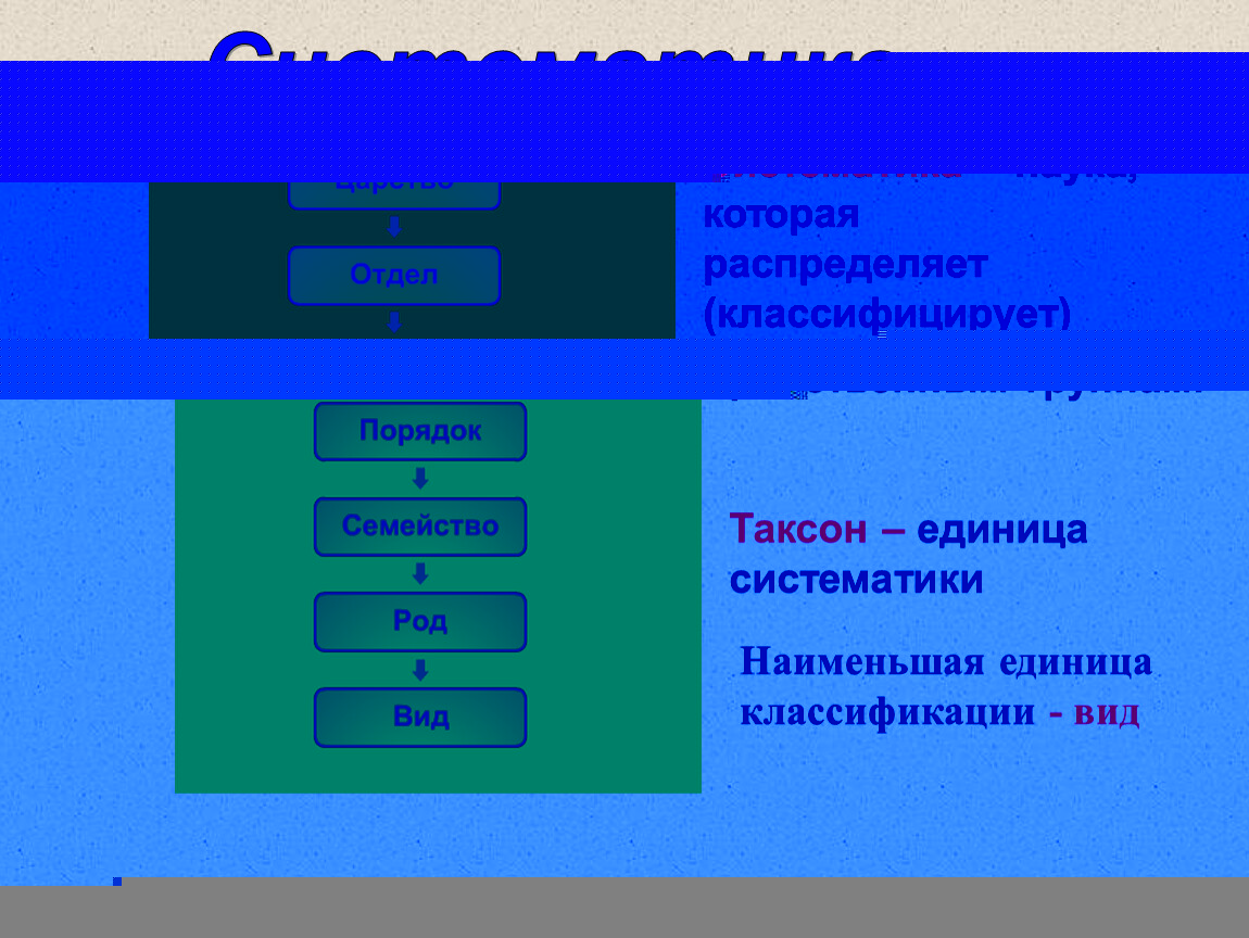 Систематика растений