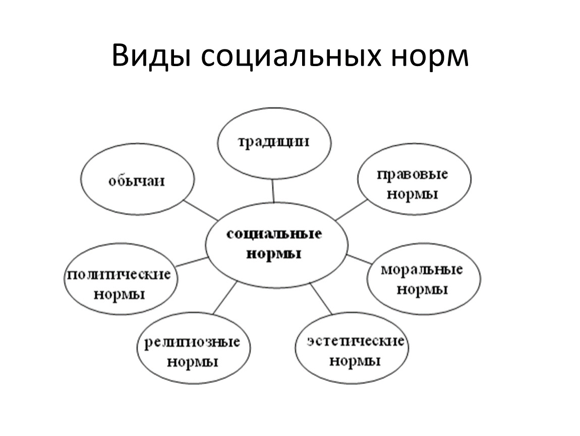 Что не относится к социальным нормам