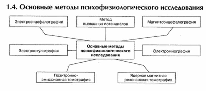 Психофизиология мышления схема