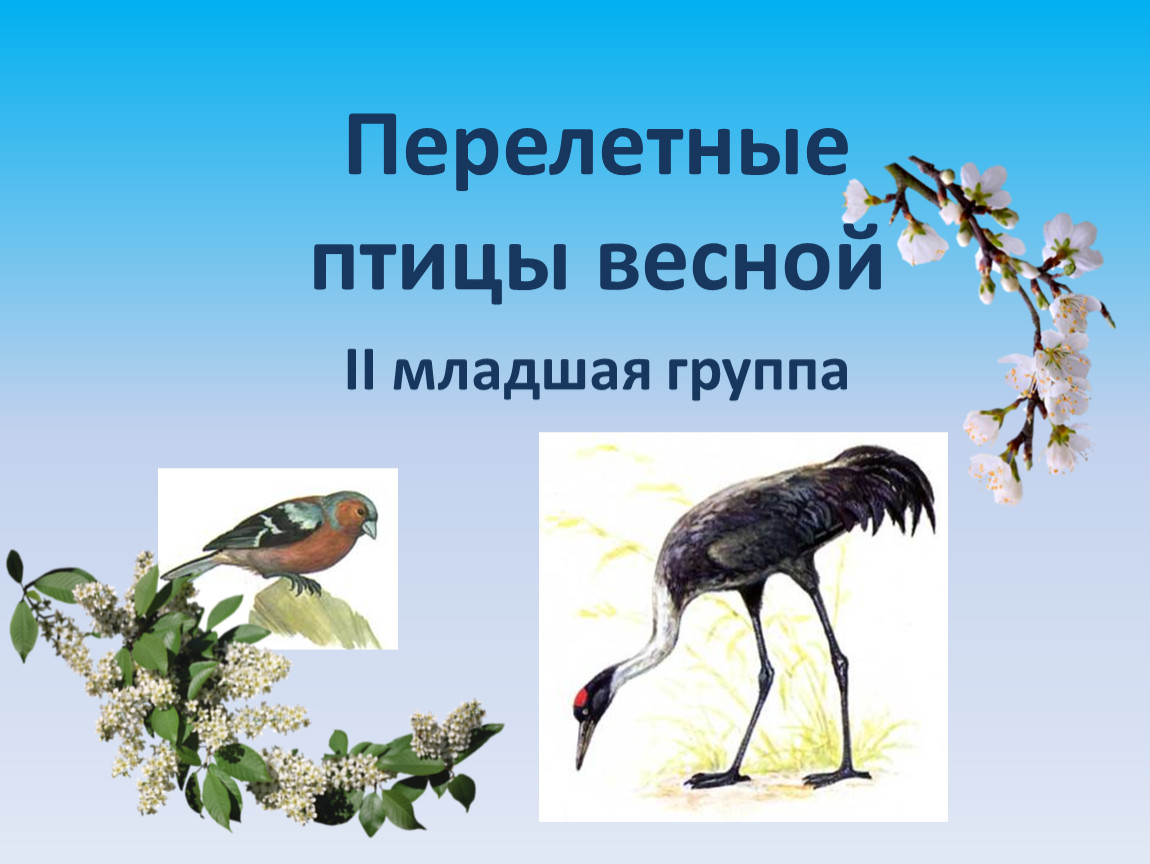 Изменения в жизни птиц весной. Перелетеые п и цы весной. Перелётные птицы весно. Презентация птицы весной младшая группа. Презентация перелетные птицы весной.