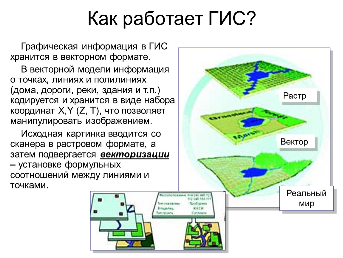 Карта в гис это