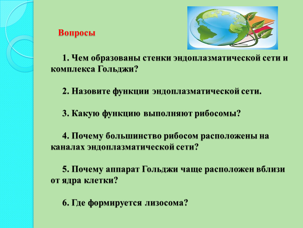 Чем образованы стенки. Чем образованы стенки эндоплазматической сети и комплекса Гольджи. Чем образованы сетки эндоплазматической сети и комплекса Гольджи. Какую функцию выполняет клеточная стенка. Чем образован стенки эндоплазматической се.