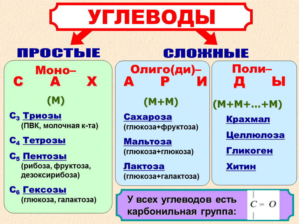 Вид моно. Углеводы моно, Поли, олиго. Моно Поли олиго сахариды. Углеводы моно ди Поли. Углеводы моно Поли и олигосахариды.