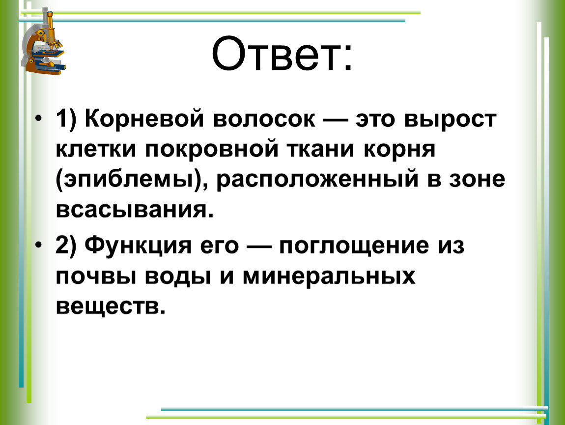 Корневой волосок это. Корневые волоски. Корневые волоски 6 класс биология. Корневые волоски кратко. Корневые волоски это в биологии.