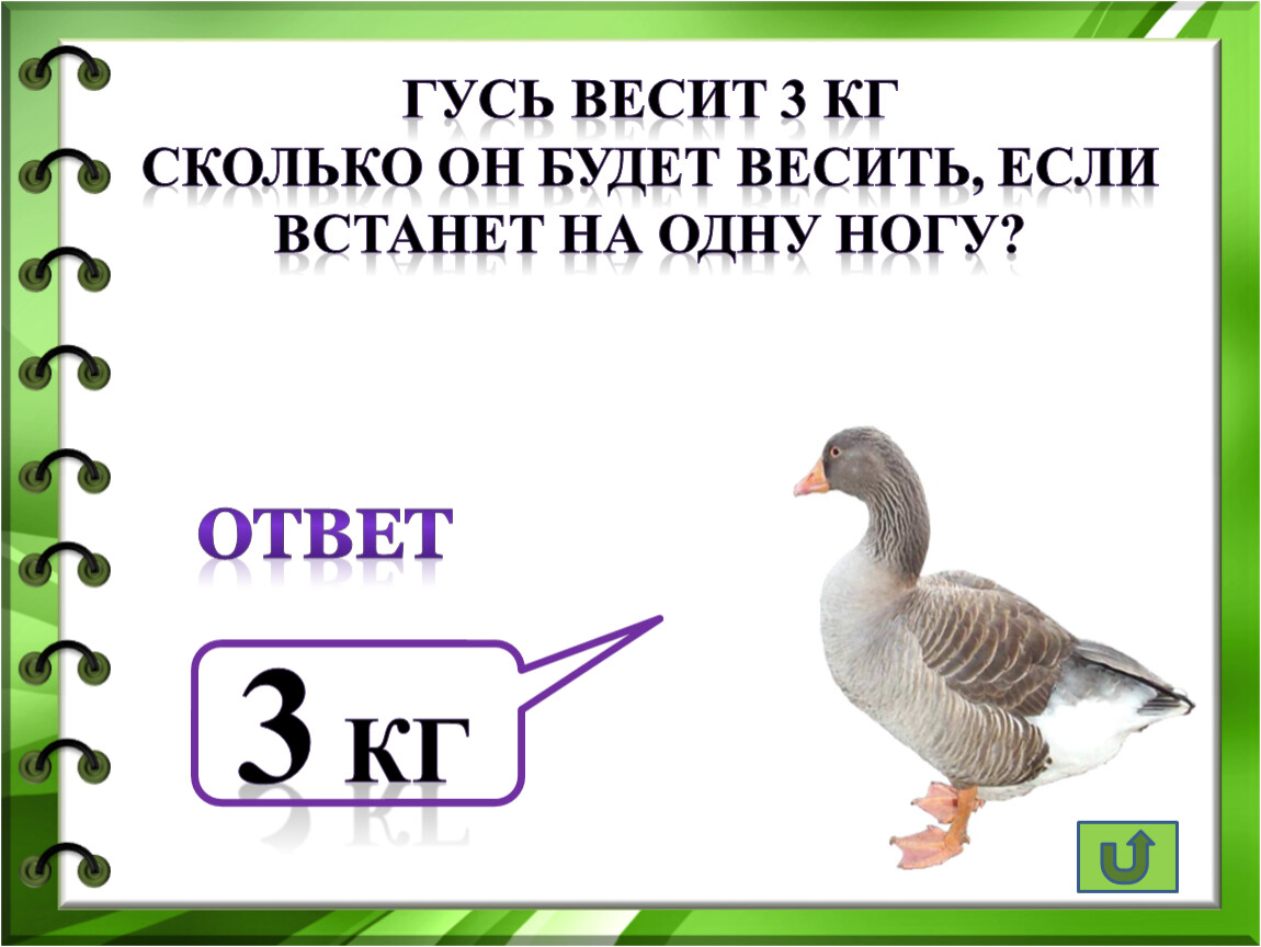 Сколько весит 3 4 3. Вес гуся. Сколько весит Гусь. Вес гуся сколько весит.