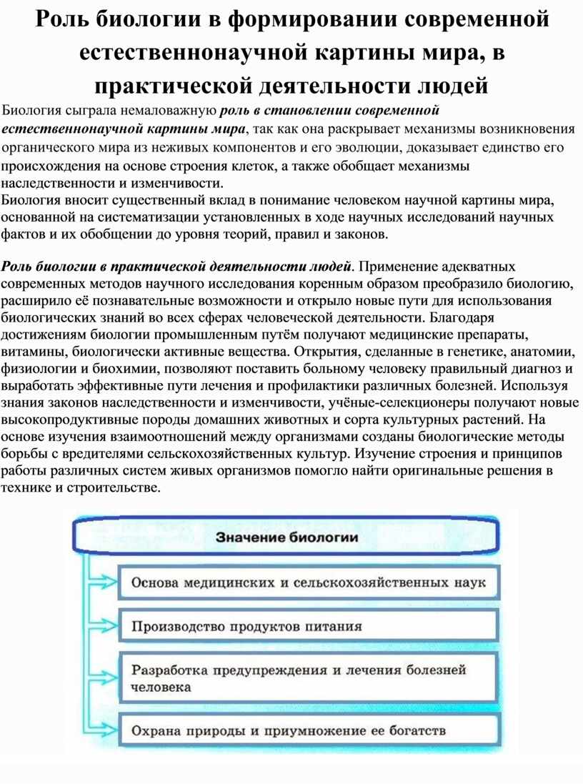 Естественнонаучные картины мира таблица