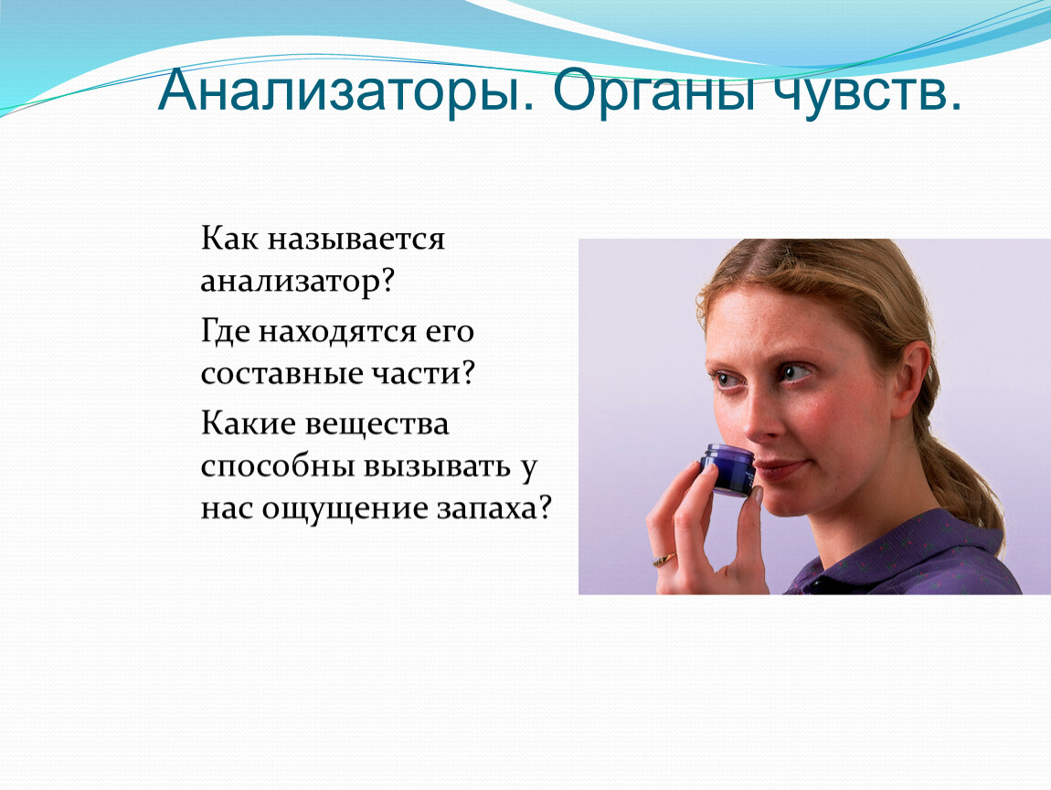 Анализаторы чувств. Анализатор органа чувств где находятся его составные части. Как называется анализатор. Анализатором называют. Какие вещества способны вызывать у нас ощущение запаха.