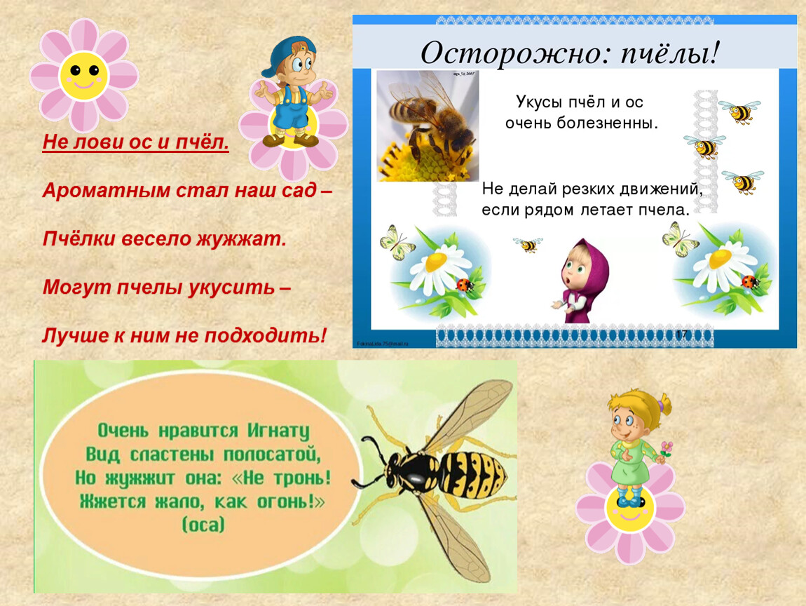 Бородицкая разговор с пчелой 1 класс. Стих про пчелу. Пчела для детей. Детский стишок про пчелку. Стих о пчеле детский.