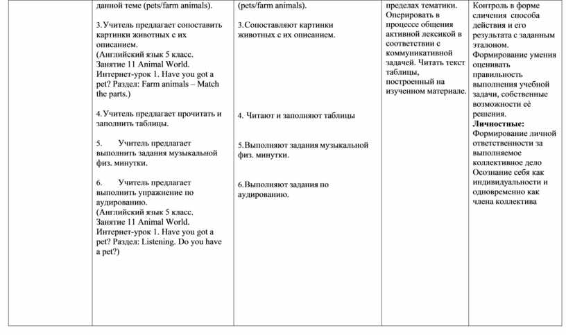 Урок английского языка "Мой питомец" 5 класс