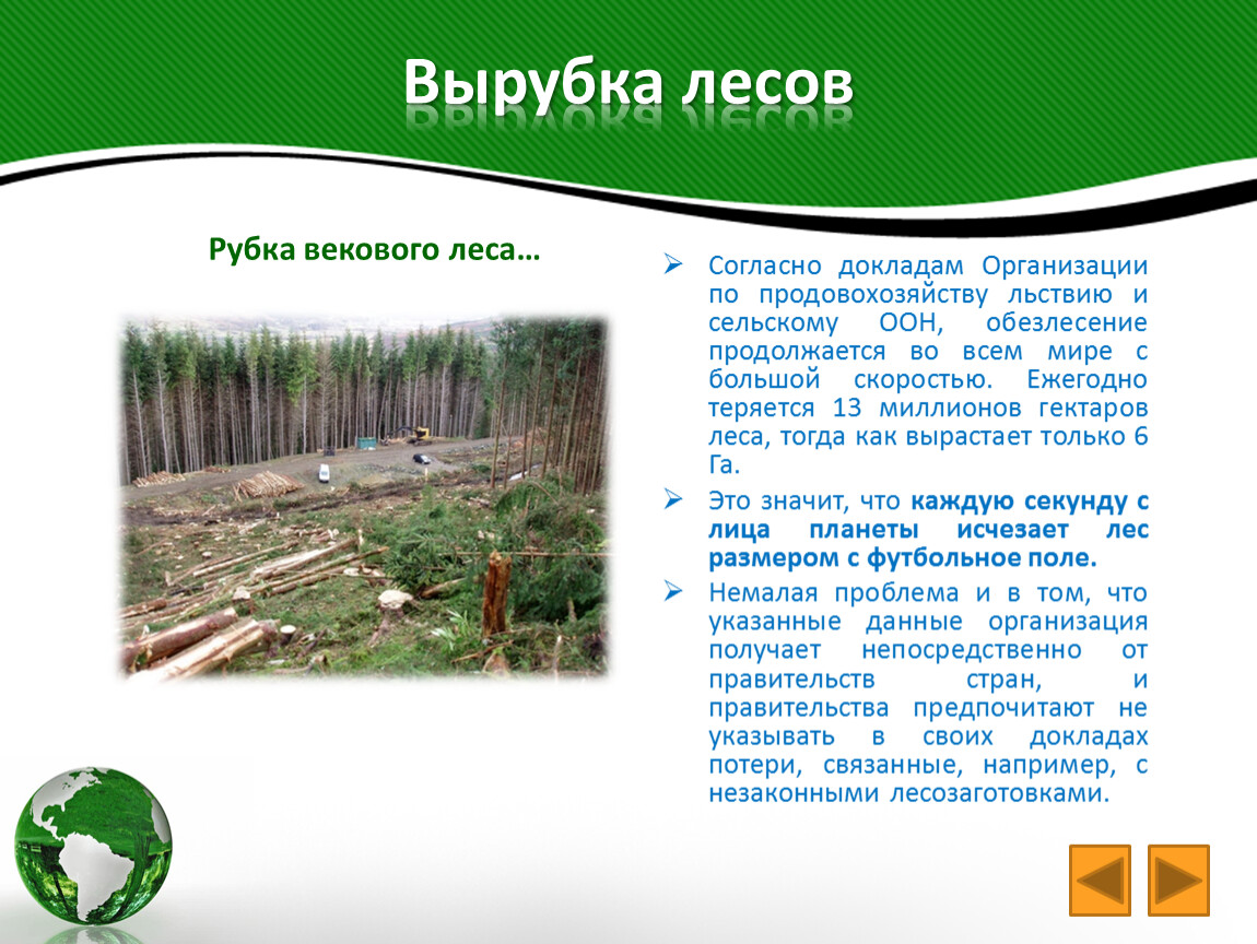 Лесная влияние на окружающую среду. Вырубка лесов. Проблема вырубки леса. Вырубка леса презентация. Проект про вырубку леса.