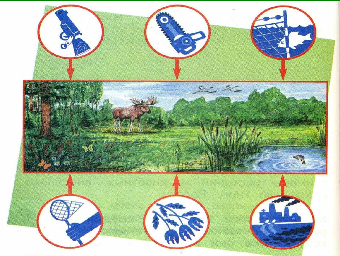 Экологическая безопасность 3 класс окружающий мир учебник. Охранять природу значит охранять родину. Экологические знаки. Знаки охраны природы воды. Охрана воды для детей.