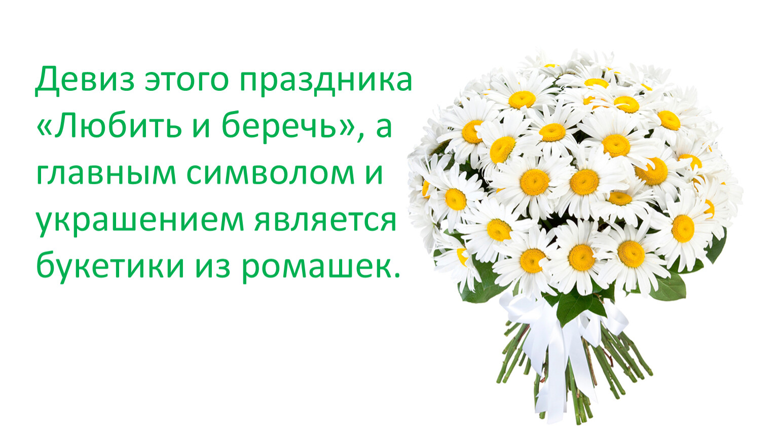 Цветы ромашки букет. Букет ромашек. Букет цветов ромашки. Букет ромашек картинки. Большой букет ромашек.