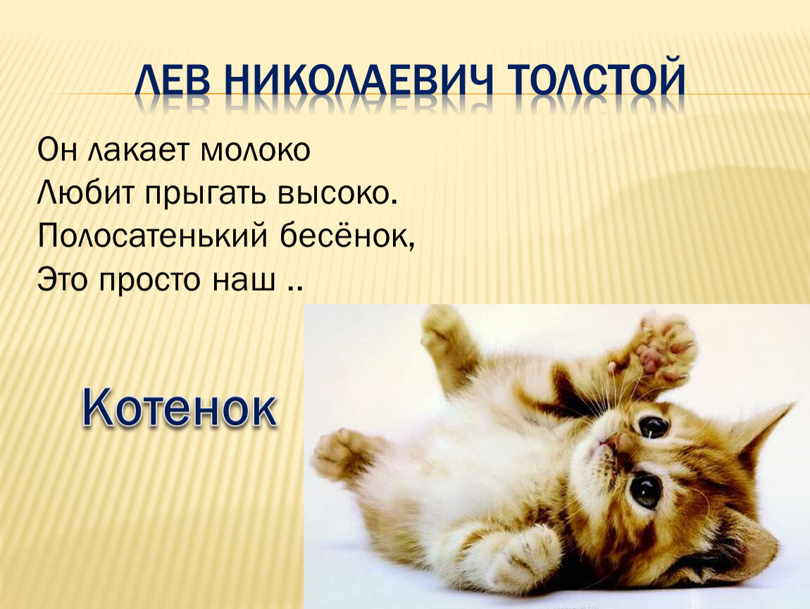 Урок чтения котята. Рассказ котенок. Лев Николаевич толстой котенок. Котенок для презентации. Толстой котенок презентация.