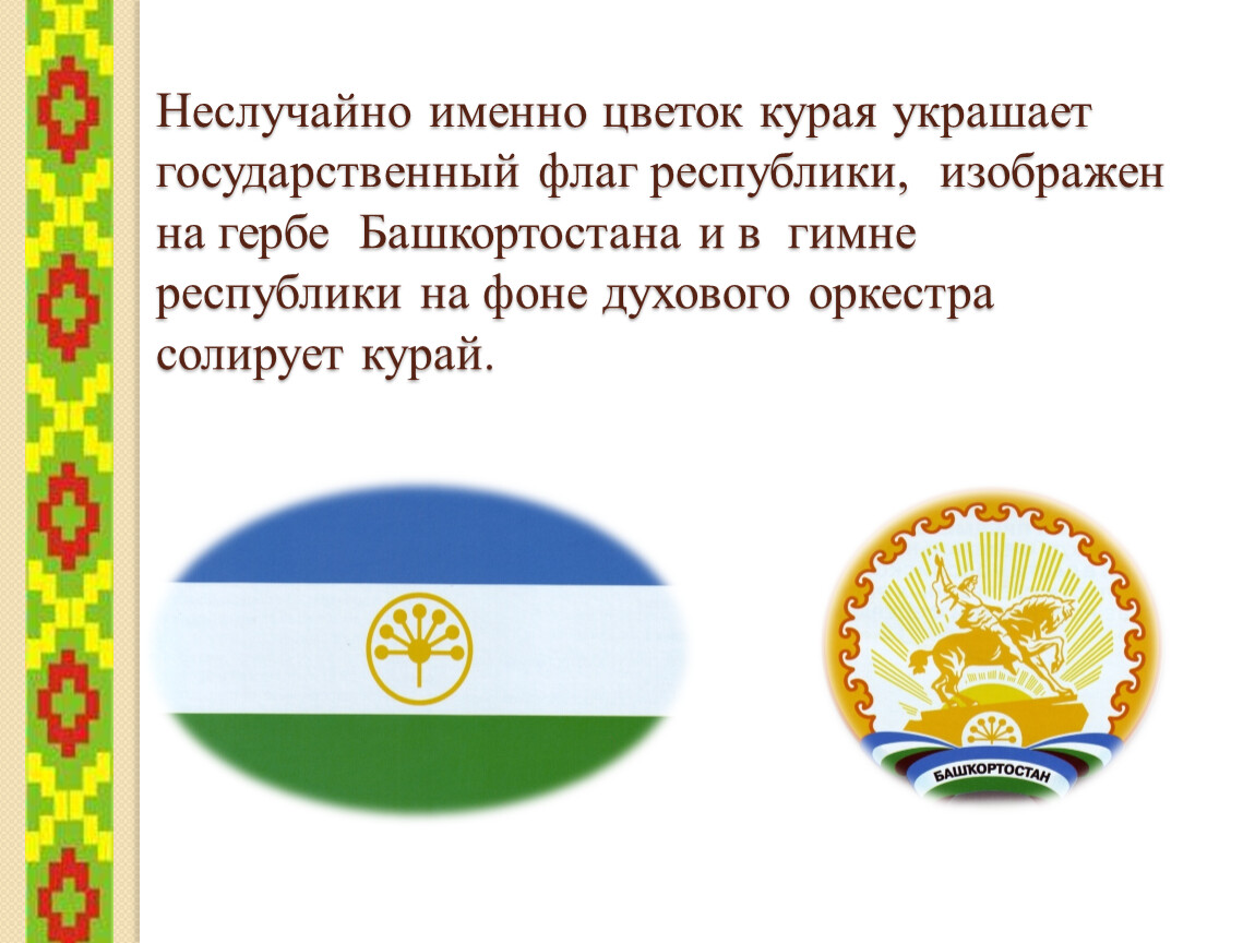 Цветок курая символ башкортостана. Курай цветок герб. Герб Башкортостана курай. Государственный флаг Республики Башкортостан
