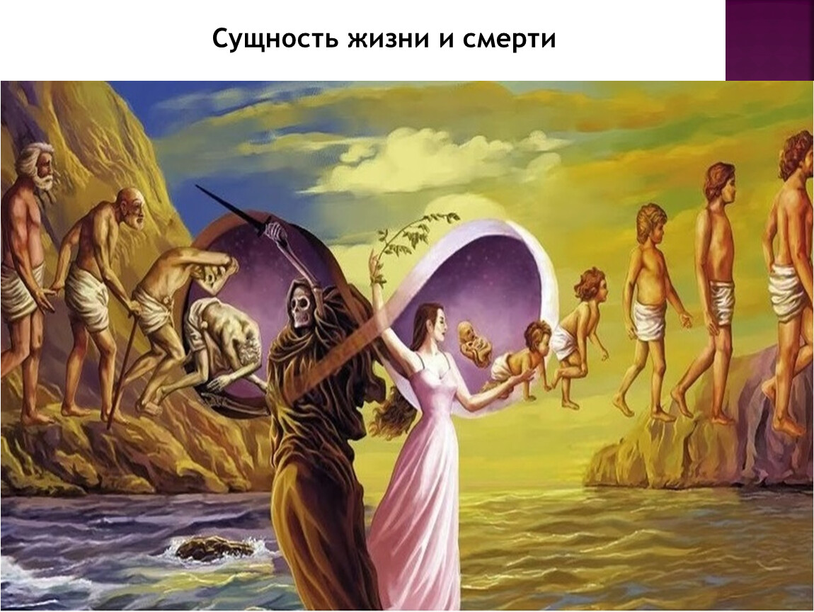 Сущность жизни