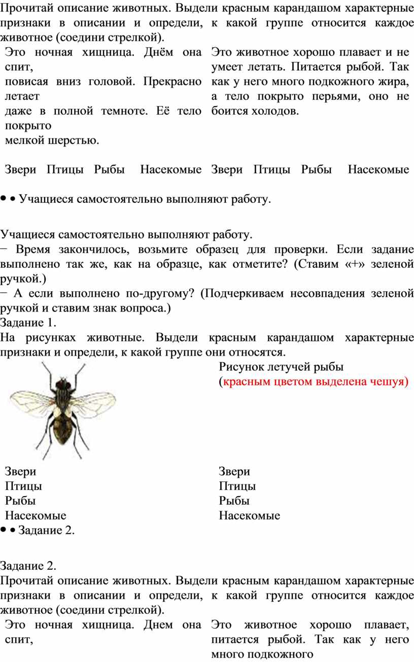 Окружающий мир, 1 класс Тема: «Виды животных» Тип урок: рефлексия