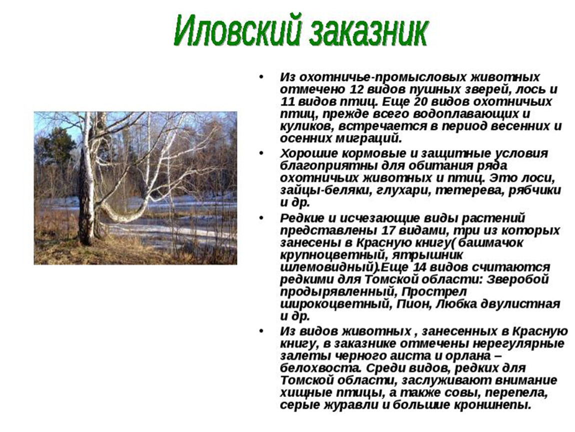 Томская область сообщение. Иловский заказник в Томской области. Заповедники Томской области. Заповедник Томск. Заповедники и заказники Томской области.