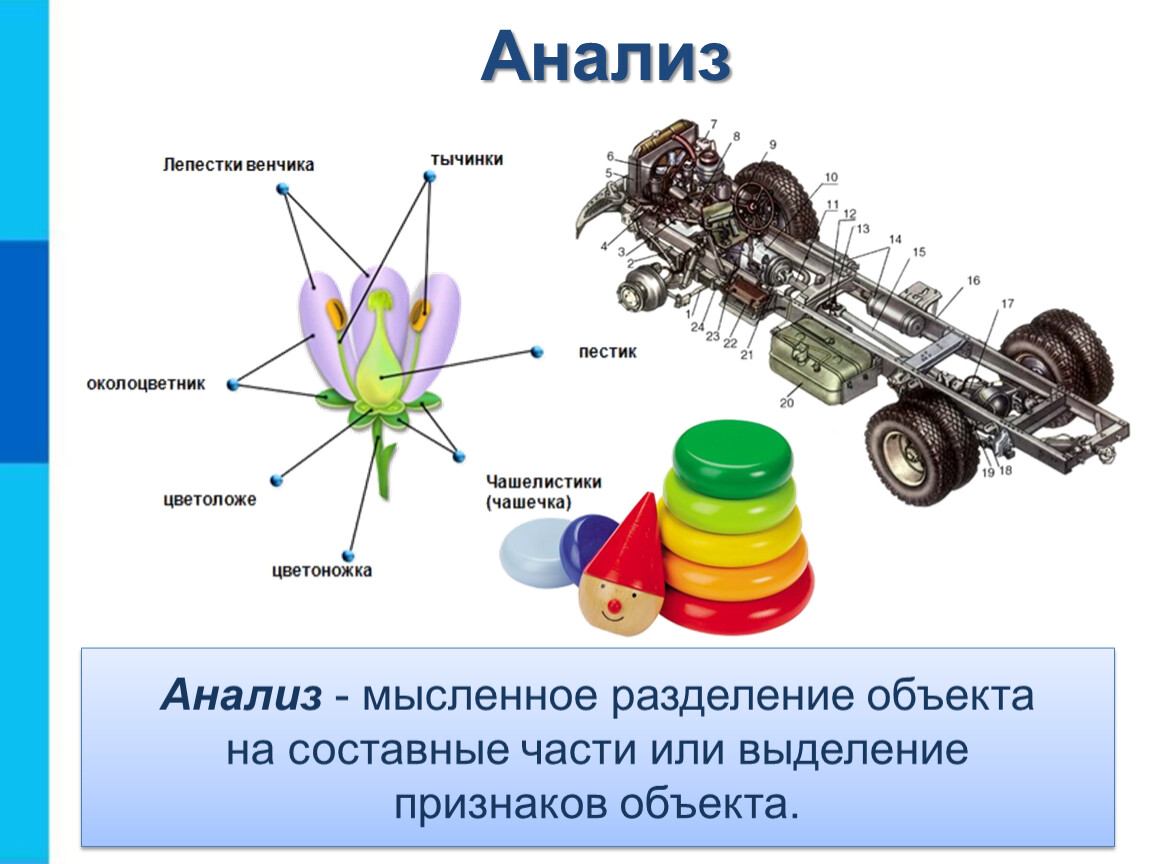 Составные части презентации. Разделение объекта на составные части. Анализ это Разделение объекта на составные части. Составные части предметов. Мысленное Разделение объекта на составные части.