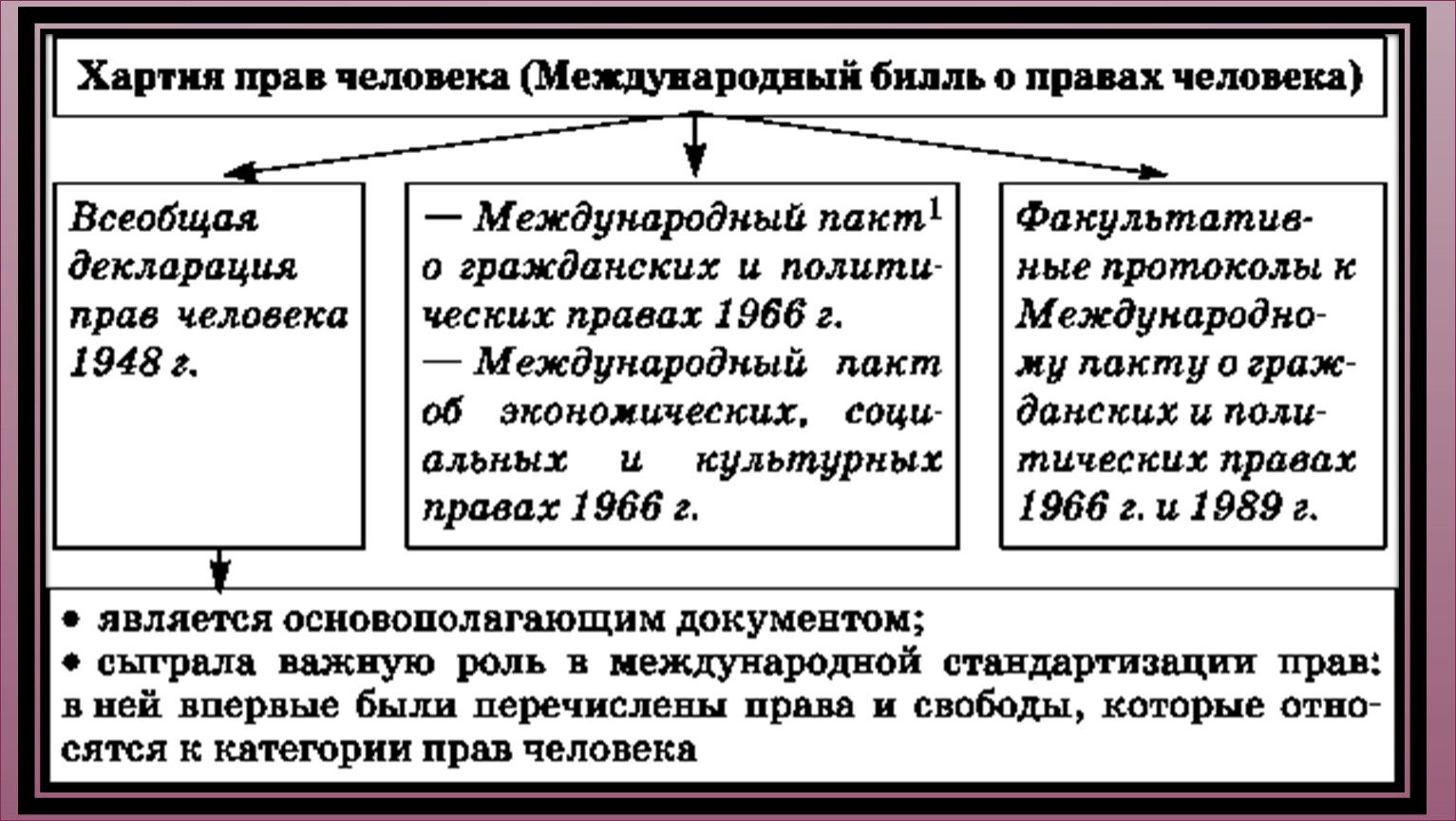 Международный билль о правах человека схема