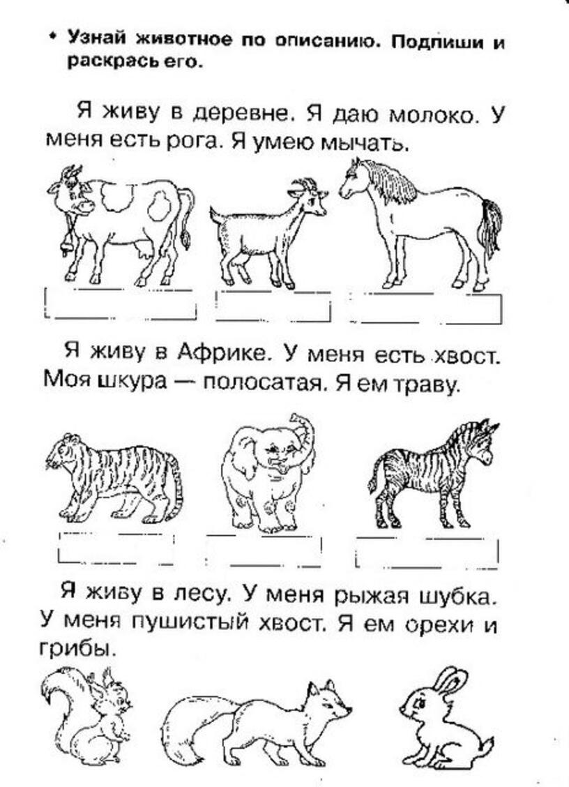 Определите по описанию. Узнай по описанию. Найди по описанию для дошкольников. Узнай животное по описанию. Задание узнай животное по описанию.