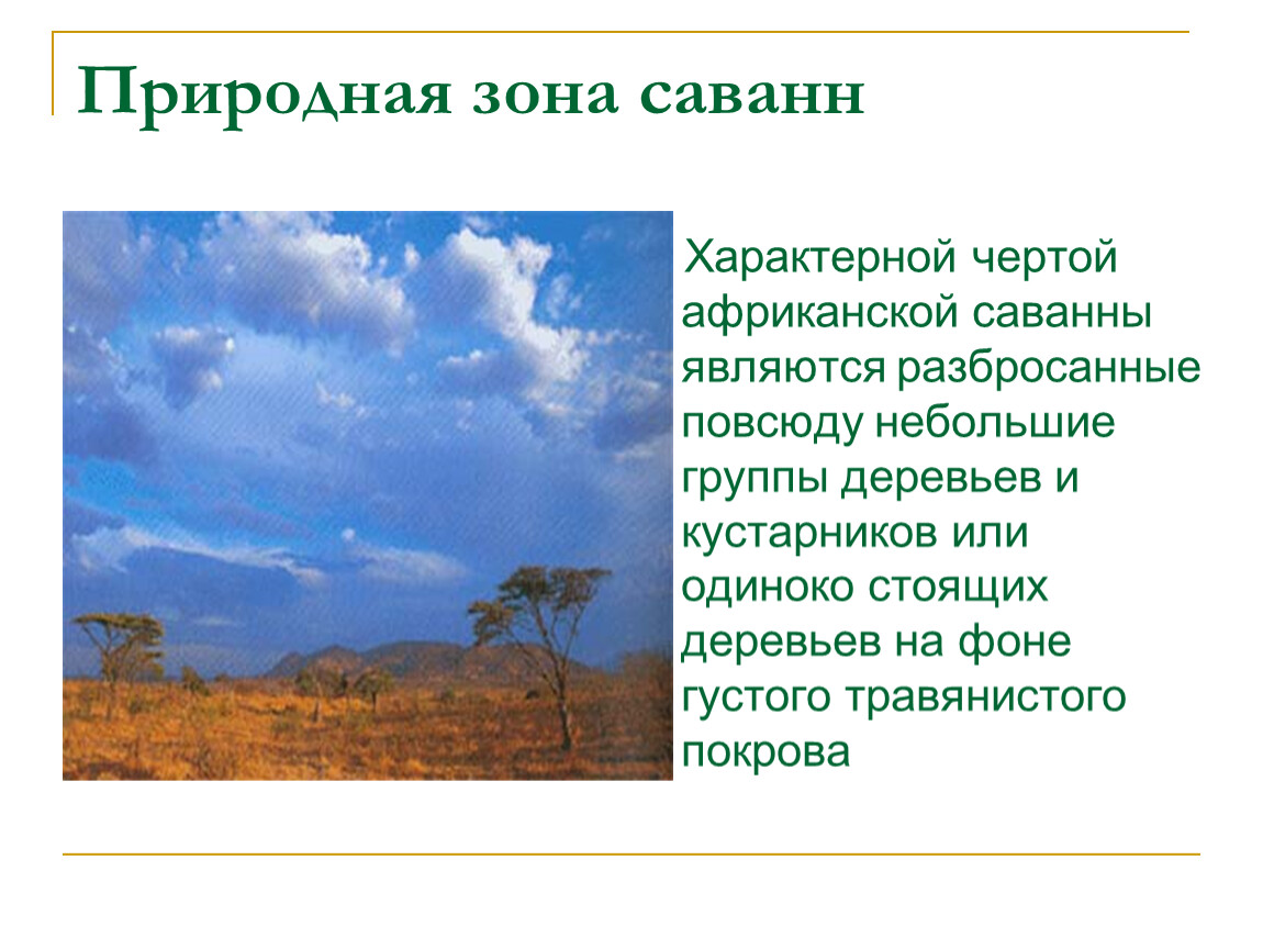 Особенности растительности саванны и редколесья. Природные зоны Африки саванны и редколесья. Природные зоны Африки Саванна растительность. Описание природной зоны саванны. Саванна природная зона характеристика.