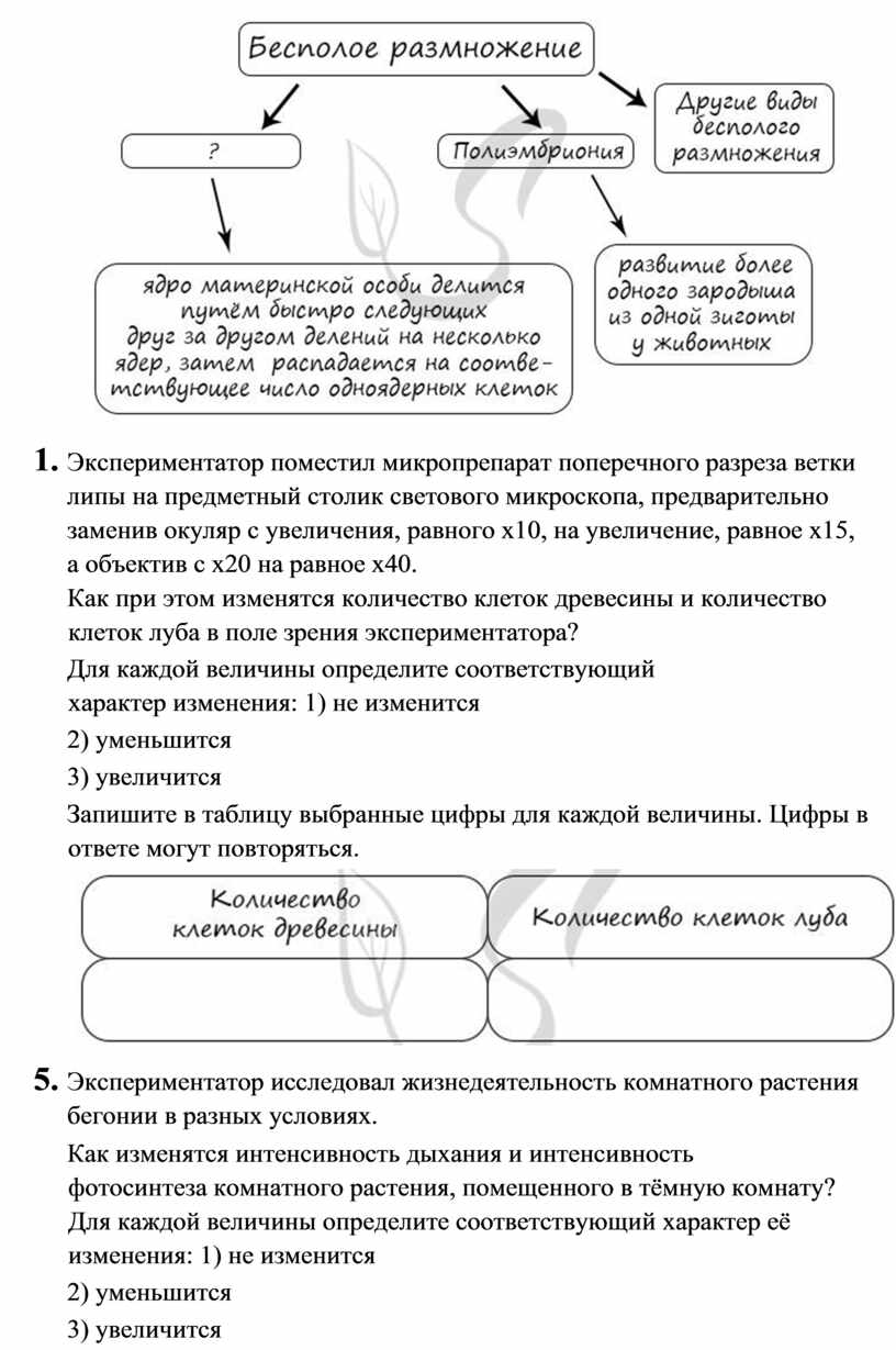 Экспериментатор поместил микропрепарат поперечного разреза ветки липы на предметный столик