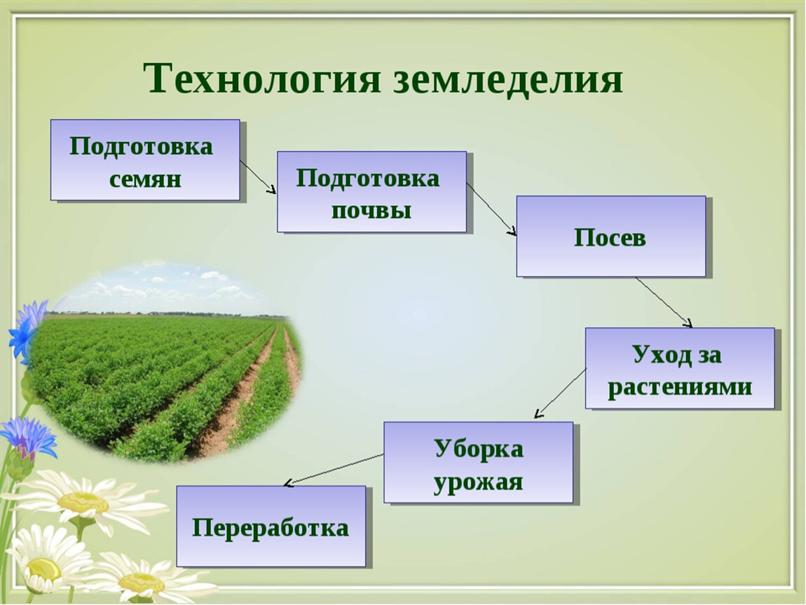 Основные земледелия. Технологии земледелия. Схема технологии земледелия. Технологии растениеводства. Виды земледелия.