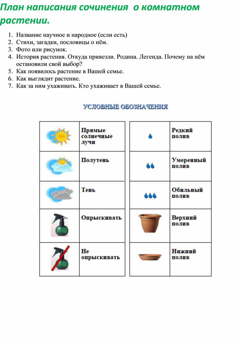 Условные обозначения цвета. Схема как ухаживать за комнатными растениями в детском саду. Схема ухаживания за комнатными растениями в детском саду. Схема пол ва комнатных растений. Обозначение комнатных растений.