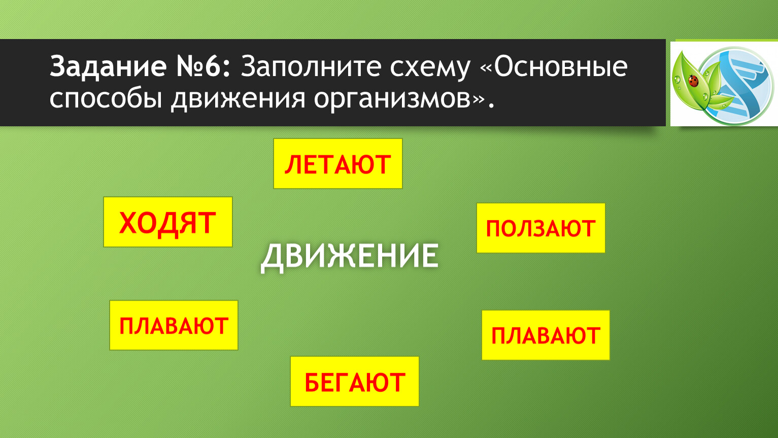 Жизнедеятельность организмов 5 класс