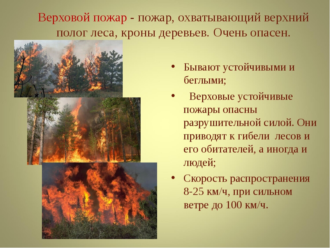 Лесные опасности для человека. Лесные пожары презентация. Презентация на тему пожар. Причины природных пожаров. Слайд верховой пожар.