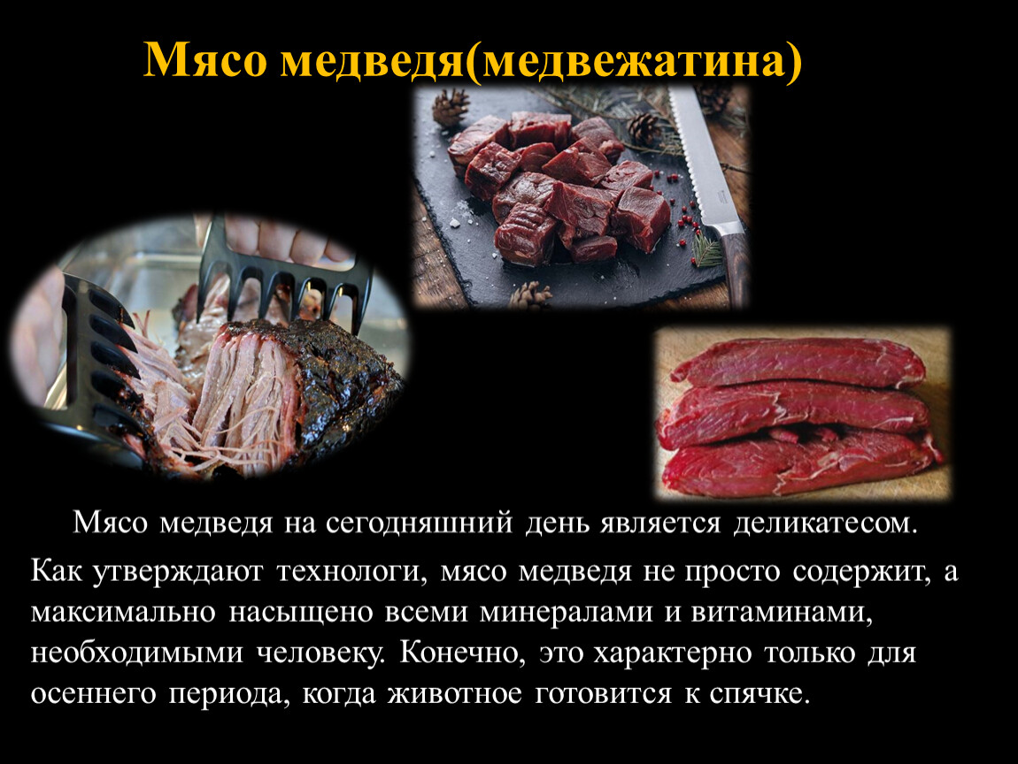 Презентация по теме :Мясо диких животных.Мясо медведя.