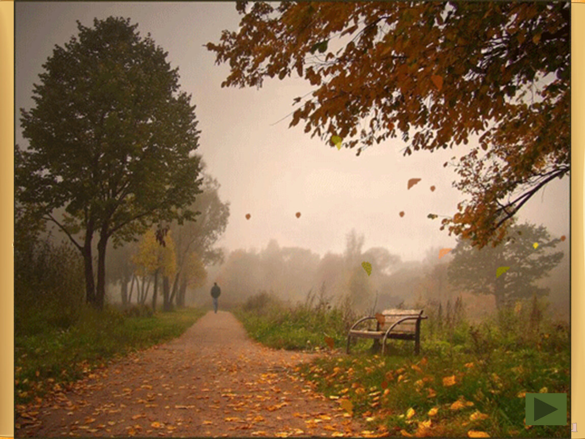 Парке пахнет хвойной тишиной. Осенняя непогода. Осенний листопад. Унылая осень. Осень ветер.