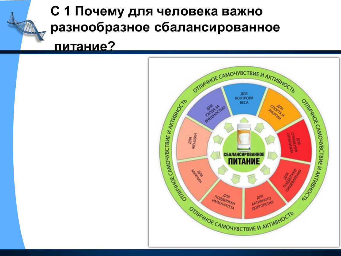 Разнообразное и сбалансированное. Почему для человека важно разнообразное сбалансированное питание. Сбалансированное питание диаграмма.