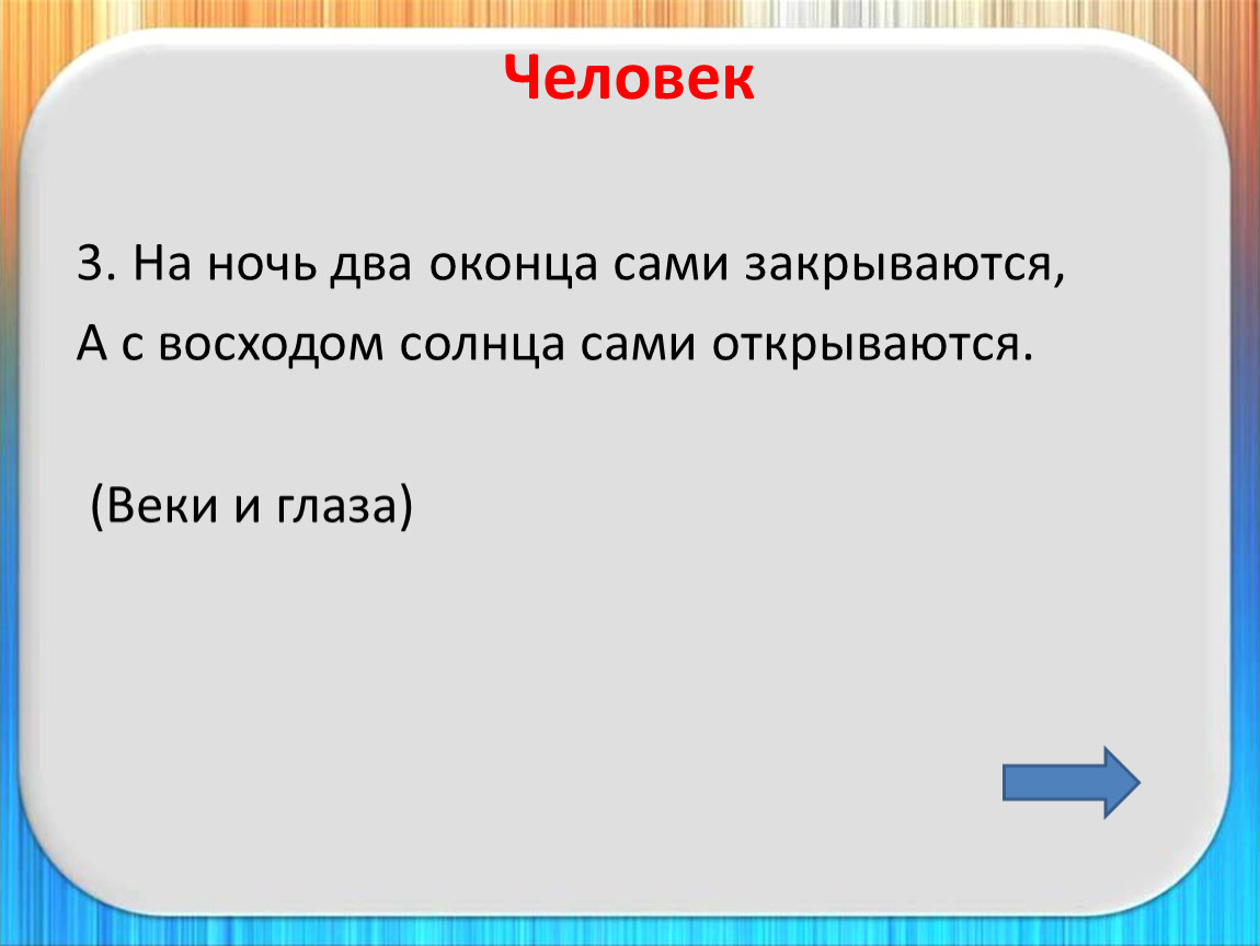 Около полутораста страниц двое учениц