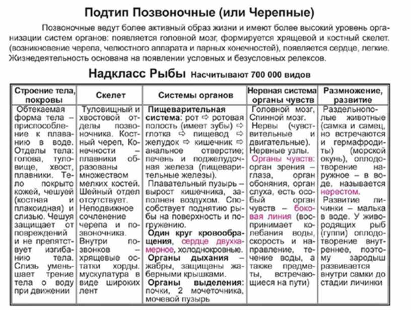 Щербатых биология в схемах и таблицах