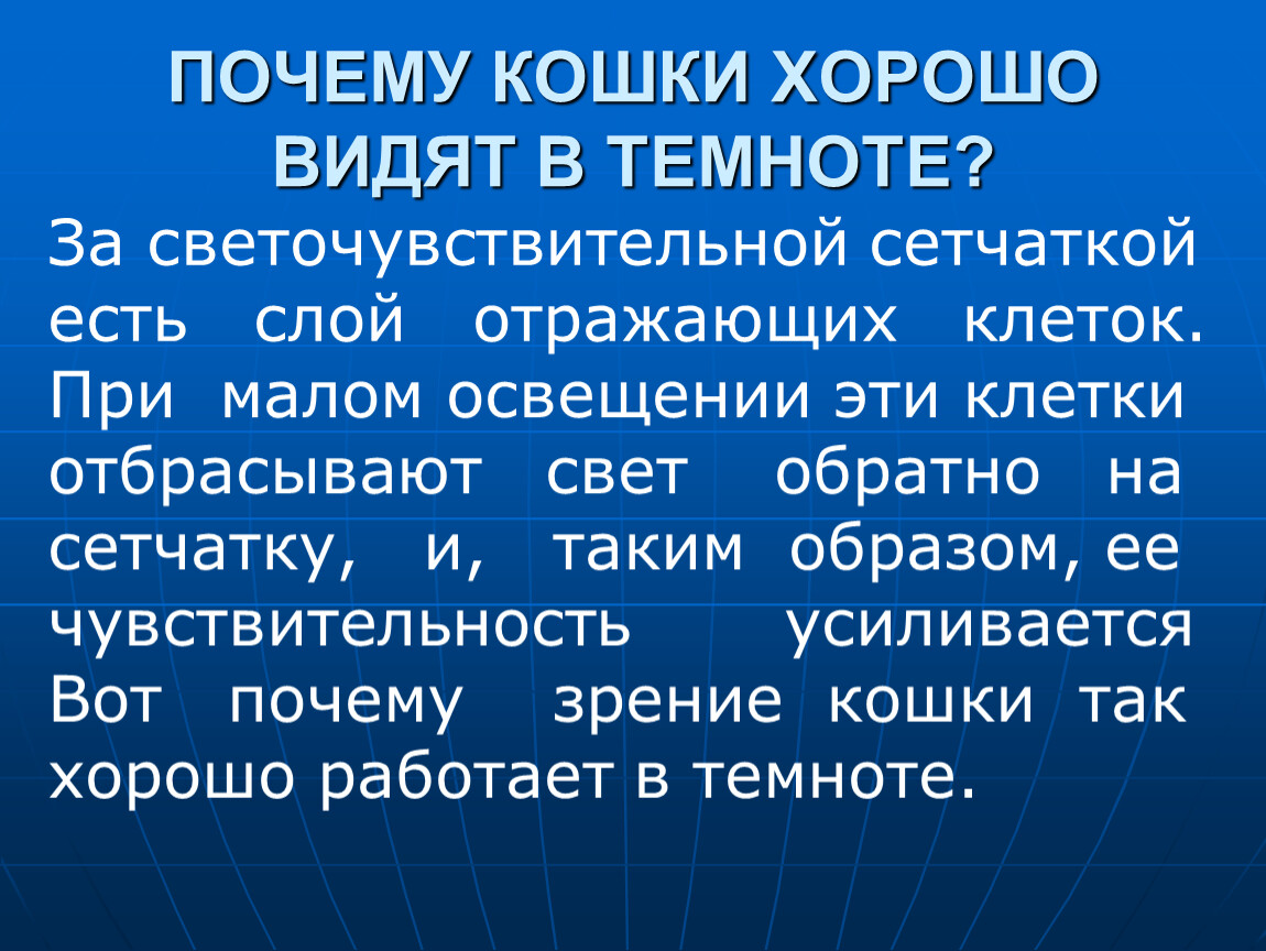 ПОЧЕМУ КОШКИ ХОРОШО ВИДЯТ В ТЕМНОТЕ?