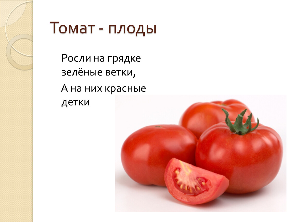 Помидор имя прилагательное подобрать. Загадка про томат для детей. Загадка про помидор. Загадка про помидор для детей. Томат загадка.